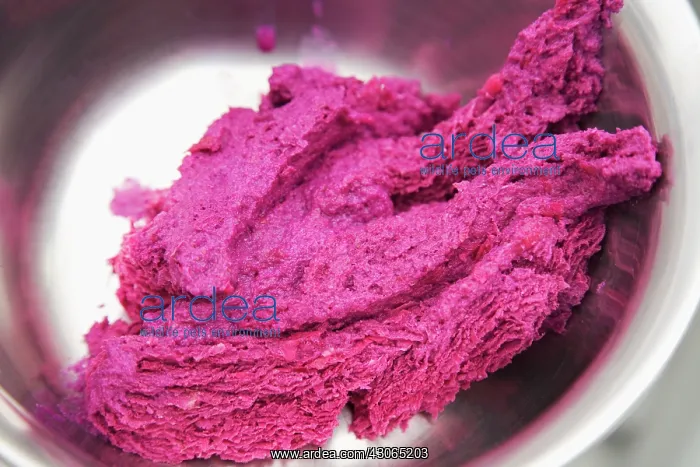 : Rose, Rosa centifolia : Rose, Rosa centifolia