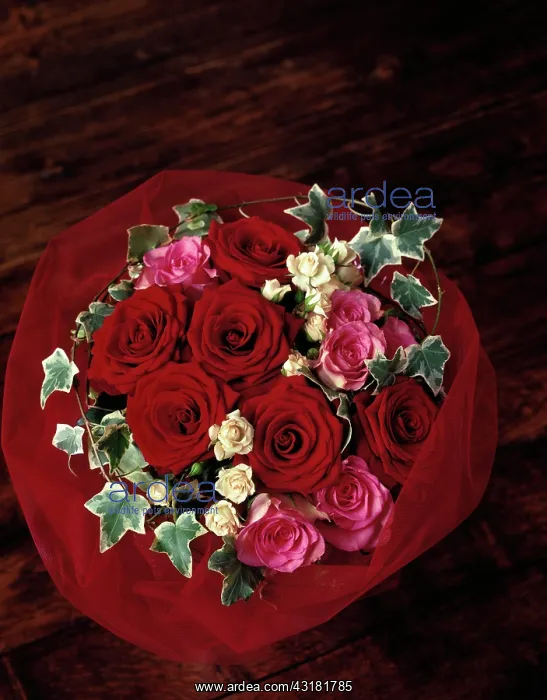 : Rose, Rosa Passion, Overhead view of a bouquet : Rose, Rosa Passion, Overhead view of a bouquet