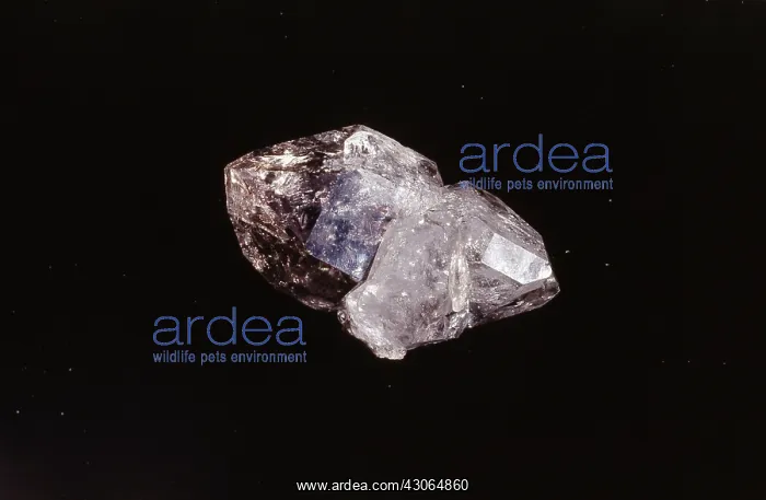 : Rose and Smoky Quartz : Rose and Smoky Quartz