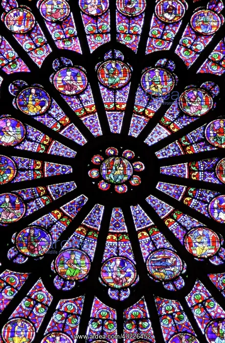 : A rose window in Notre Dame cathedral : A rose window in Notre Dame cathedral