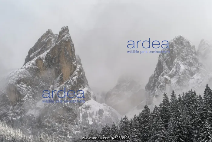 : Rosengarten also called Catinaccio mountain : Rosengarten also called Catinaccio mountain