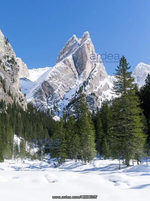 : Rosengarten also called Catinaccio mountain : Rosengarten also called Catinaccio mountain