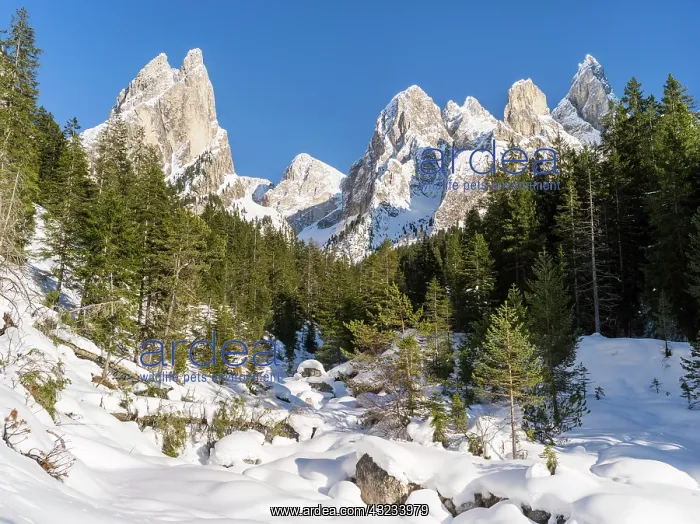 : Rosengarten also called Catinaccio mountain : Rosengarten also called Catinaccio mountain