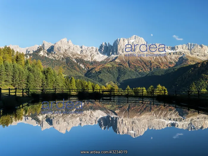 : Rosengarten (Catinaccio) massif in the Dolomites : Rosengarten (Catinaccio) massif in the Dolomites
