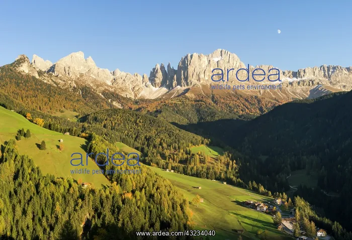 : Rosengarten (Catinaccio) massif in the Dolomites : Rosengarten (Catinaccio) massif in the Dolomites