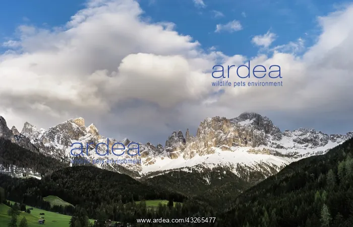 : Rosengarten or Catinaccio mountain range : Rosengarten or Catinaccio mountain range