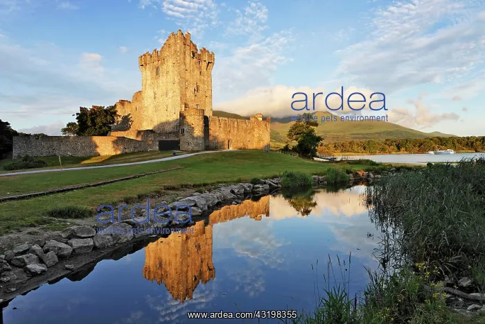 : Ross castle at the Lough Lane, Killarney National : Ross castle at the Lough Lane, Killarney National