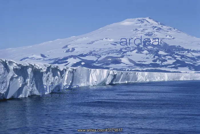 : Ross Ice Shelf and Mt. Terror : Ross Ice Shelf and Mt. Terror