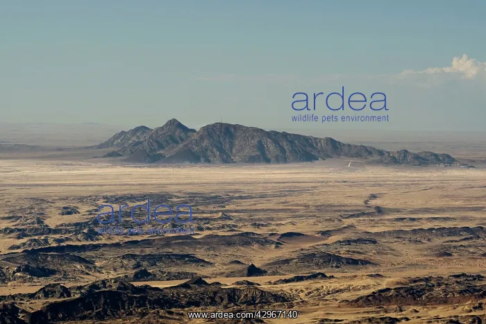 : Rossing Mountain and the ancient Moon Valley landsurface : Rossing Mountain and the ancient Moon Valley landsurface