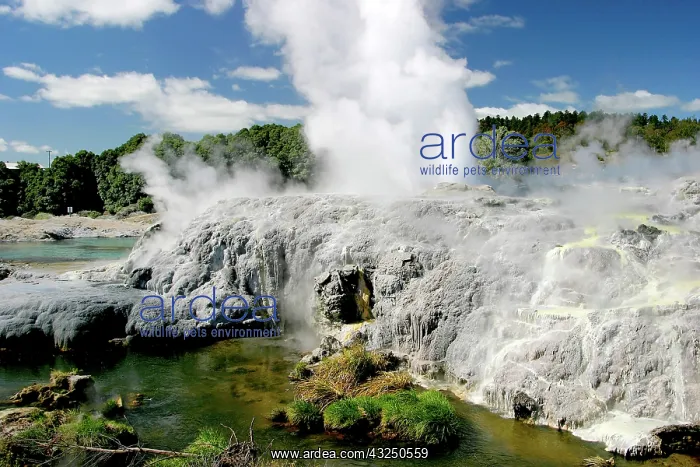 : Rotorua, New Zealand. Rotorua lies upon : Rotorua, New Zealand. Rotorua lies upon