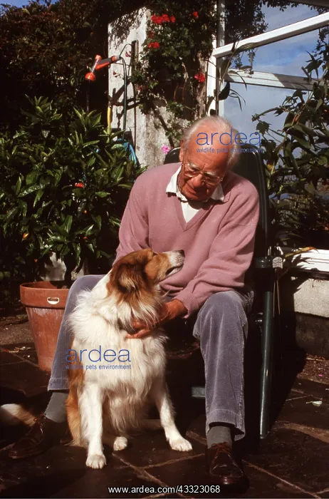 : ROUGH COLLIE DOG & ADMIRER : ROUGH COLLIE DOG & ADMIRER