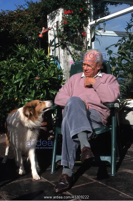 : ROUGH COLLIE DOG and man : ROUGH COLLIE DOG and man