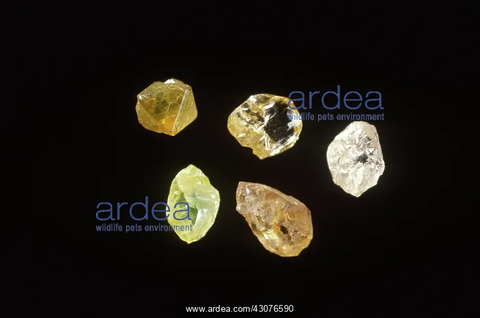 : Rough diamonds from Zaire : Rough diamonds from Zaire