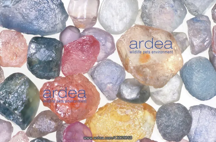 : Rough Sapphires : Rough Sapphires