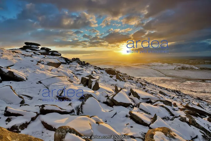 : Rough Tor - in snow : Rough Tor - in snow