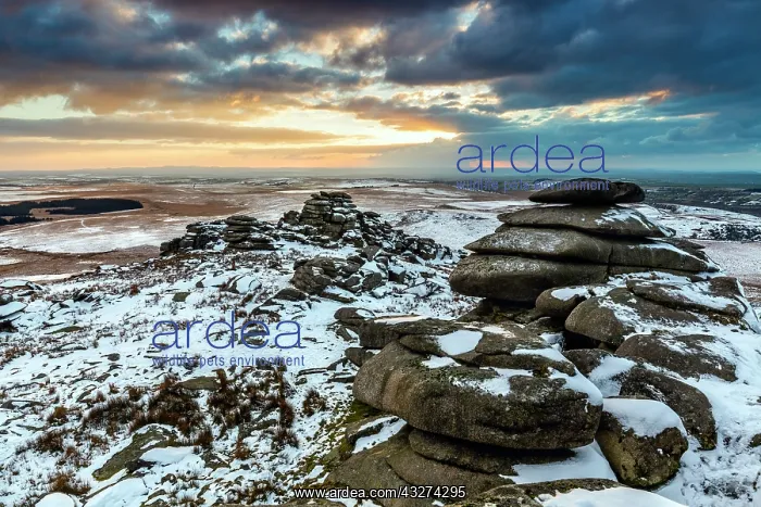 : Roughtor - Bodmin Moor - Cornwall - UK : Roughtor - Bodmin Moor - Cornwall - UK