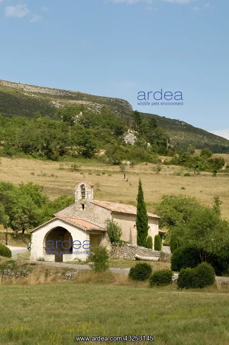 : Rougon, Gorges du Verdon, Provence, France : Rougon, Gorges du Verdon, Provence, France