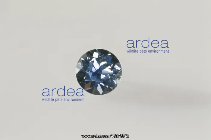 : Round brilliant cut sapphire : Round brilliant cut sapphire