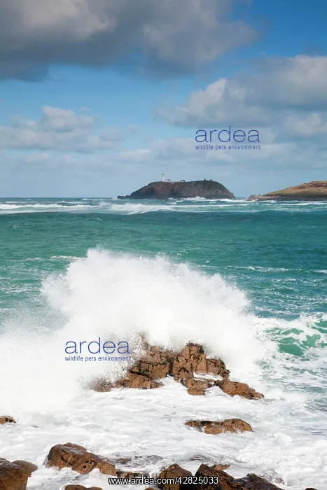  : Round Island - and crashing waves