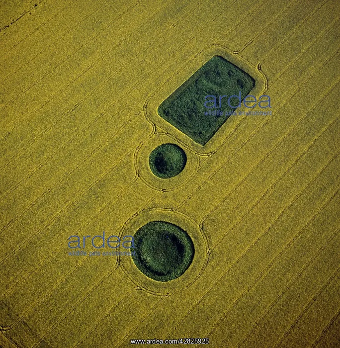  : Round and square Barrows at North Down in rape