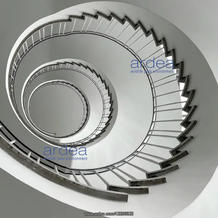  : Round staircase photographed from bottom to top