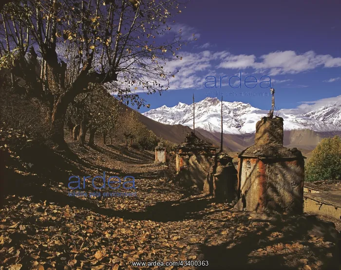 : Row of ancient Buddhist devotional objects or chortens : Row of ancient Buddhist devotional objects or chortens