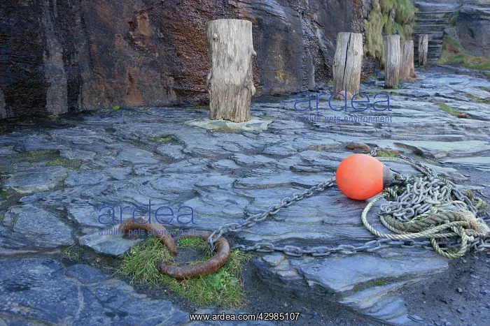 : Row of Bollards on the Quayside Harbour : Row of Bollards on the Quayside Harbour