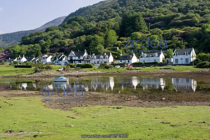 : Row of cottages reflected in harbour : Row of cottages reflected in harbour