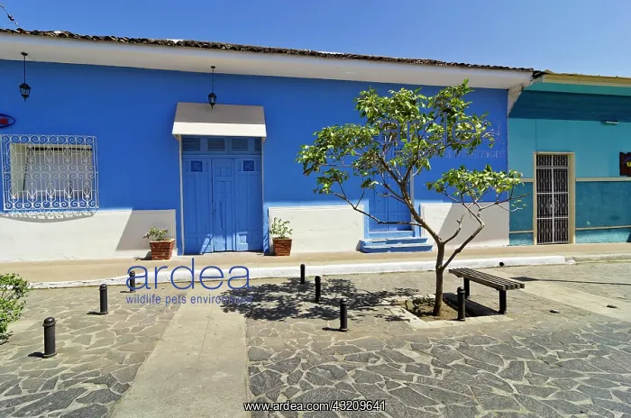 : Row of houses, facades, Calle La Calzada, Granada : Row of houses, facades, Calle La Calzada, Granada
