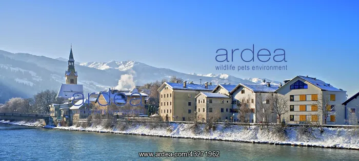 : Row of houses with hospital church on the Inn in : Row of houses with hospital church on the Inn in