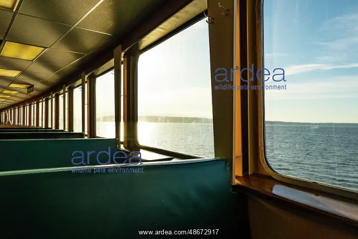 : Row of seats and window view of Puget Sound on the Spokane : Row of seats and window view of Puget Sound on the Spokane