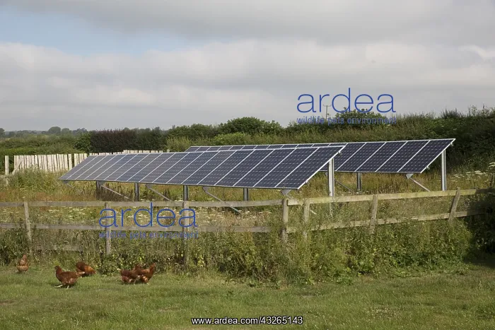 : Row of solar PV photovolataic panels mounted in : Row of solar PV photovolataic panels mounted in