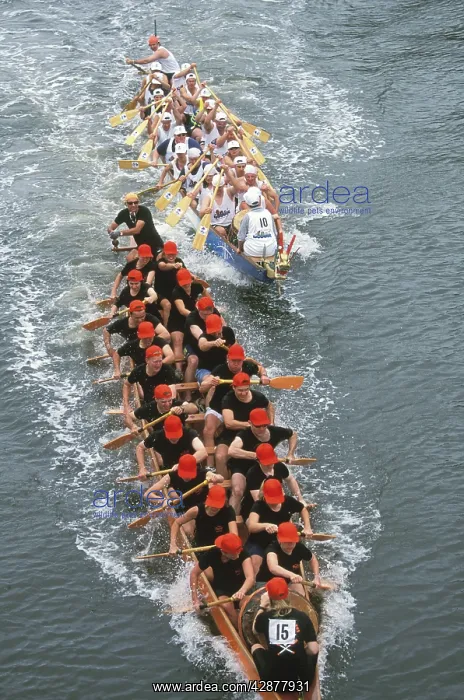 : Rowers - Moomba Festival: dragon boat races : Rowers - Moomba Festival: dragon boat races