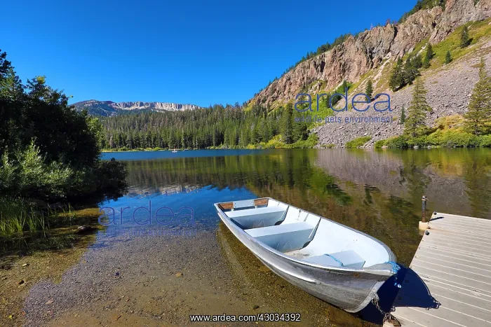 : Rowing Boat on Twin Lakes, Mammoth Lakes, California : Rowing Boat on Twin Lakes, Mammoth Lakes, California