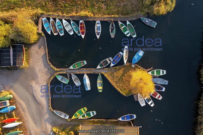 : Rowing boats in the harbour from above, Seehausen : Rowing boats in the harbour from above, Seehausen