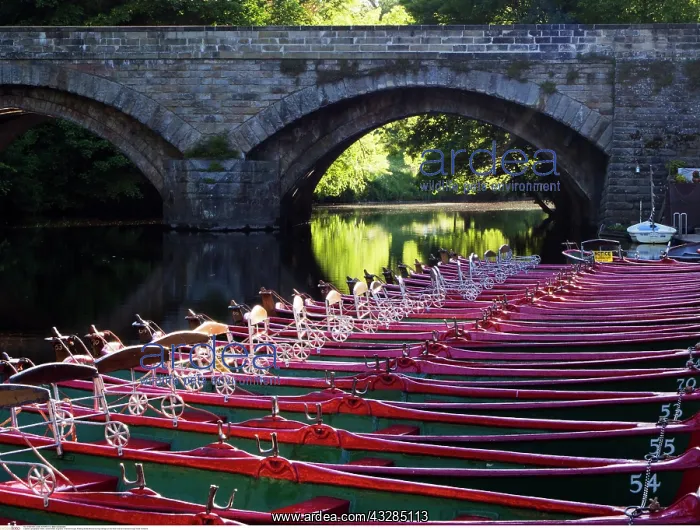  : Rowing Boats Moored by High Bridge on the River