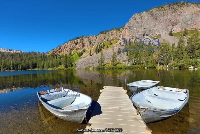  : Rowing Boats on Twin Lakes, Mammoth Lakes, California
