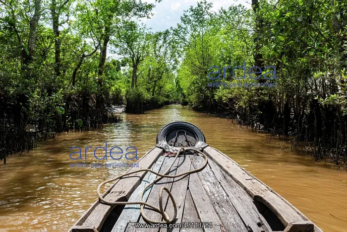 : Rowing through a small water channel, Cai Be, Mekong : Rowing through a small water channel, Cai Be, Mekong
