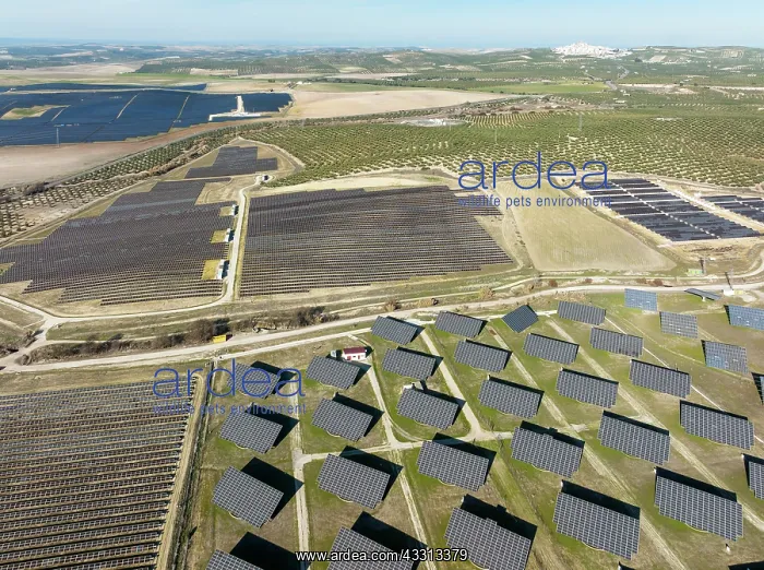 : Rows of solar panels at a photovoltaic plant and : Rows of solar panels at a photovoltaic plant and