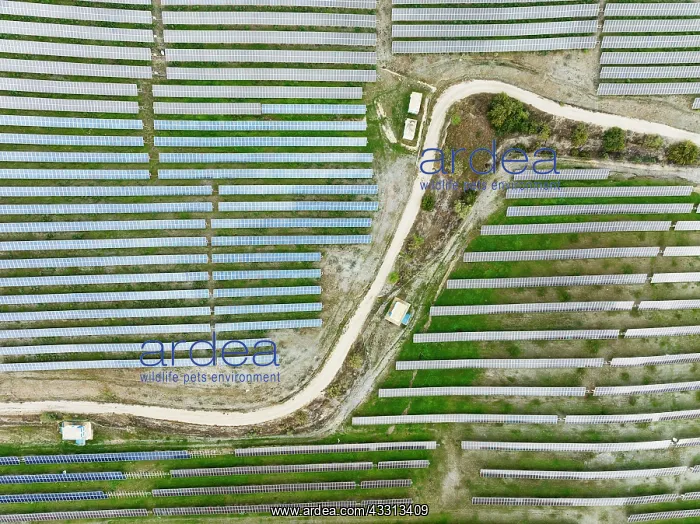 : Rows of solar panels at the photovoltaic plant of : Rows of solar panels at the photovoltaic plant of