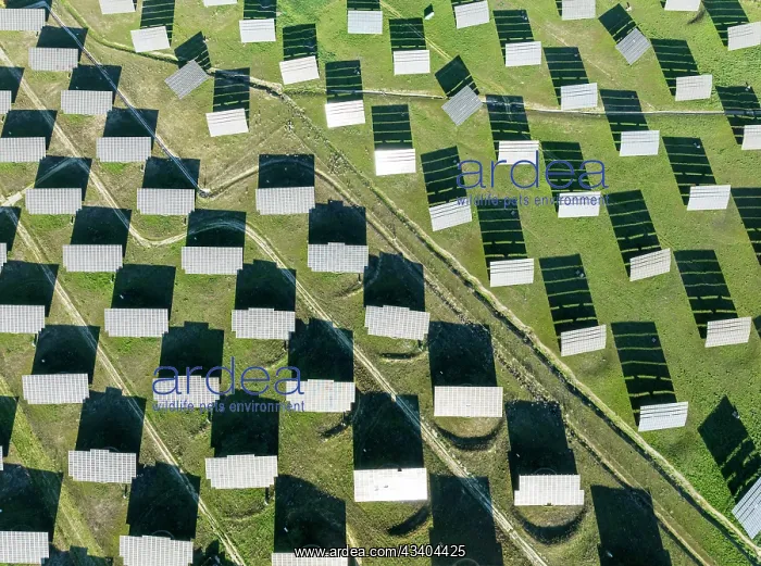 : Rows of solar panels at a photovoltaic plant near : Rows of solar panels at a photovoltaic plant near
