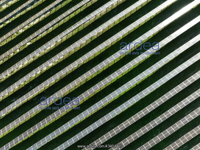 : Rows of solar panels at a photovoltaic plant near : Rows of solar panels at a photovoltaic plant near