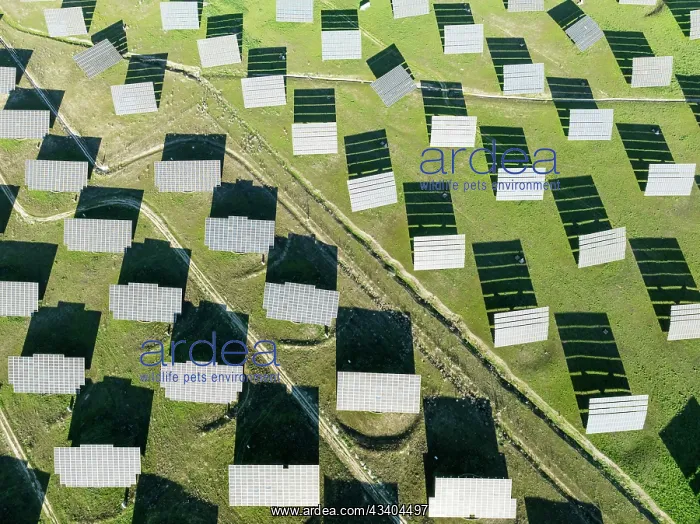 : Rows of solar panels at a photovoltaic plant near : Rows of solar panels at a photovoltaic plant near