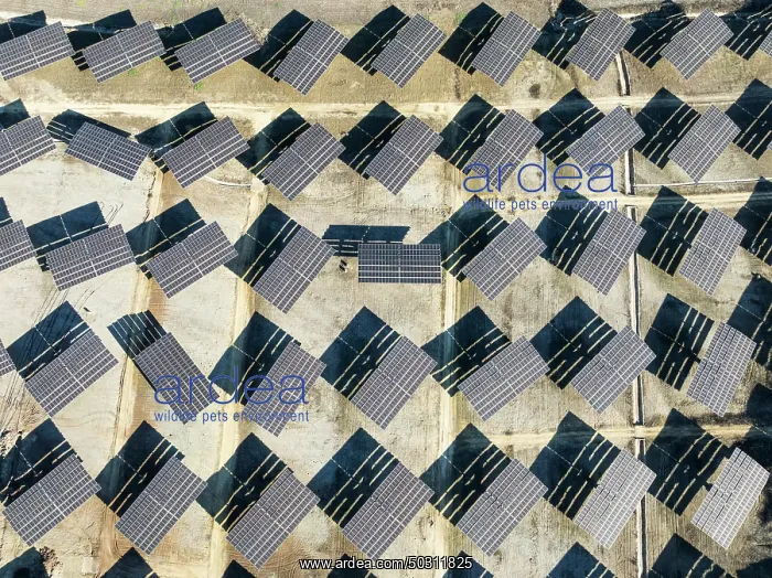 : Rows of solar panels at a photovoltaic plant near Vejer de la Frontera : Rows of solar panels at a photovoltaic plant near Vejer de la Frontera