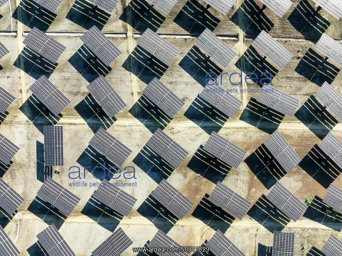 : Rows of solar panels at a photovoltaic plant near Vejer de la Frontera : Rows of solar panels at a photovoltaic plant near Vejer de la Frontera