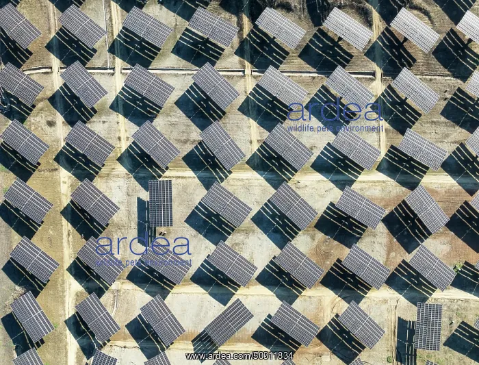 : Rows of solar panels at a photovoltaic plant near Vejer de la Frontera : Rows of solar panels at a photovoltaic plant near Vejer de la Frontera