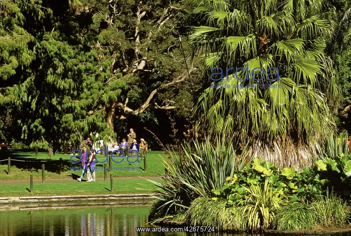 : Royal Botanic Gardens central pond Sydney : Royal Botanic Gardens central pond Sydney