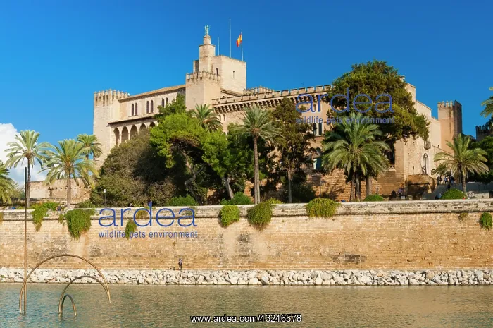 : Royal Palace of La Almudaina, Palma de Mallorca : Royal Palace of La Almudaina, Palma de Mallorca
