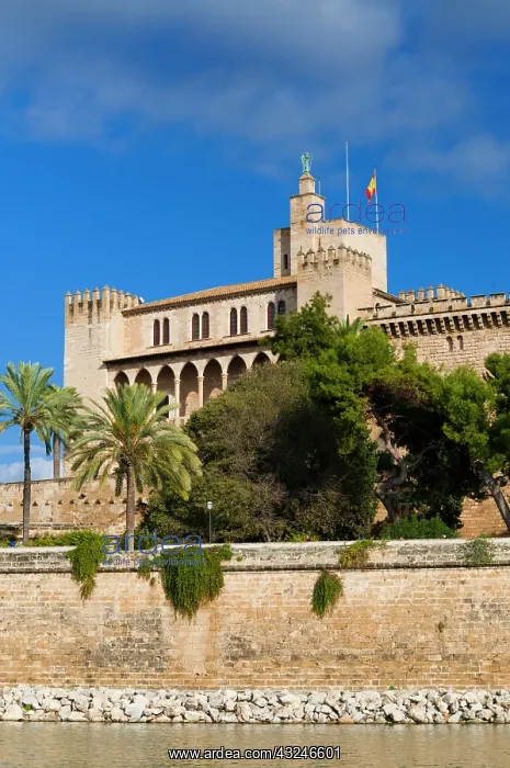: Royal Palace of La Almudaina, Palma de Mallorca : Royal Palace of La Almudaina, Palma de Mallorca
