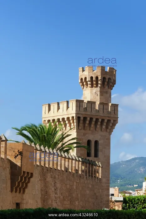 : Royal Palace of La Almudaina, Palma de Mallorca : Royal Palace of La Almudaina, Palma de Mallorca